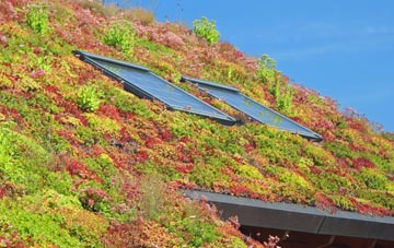 Shaw Mills living roof systems